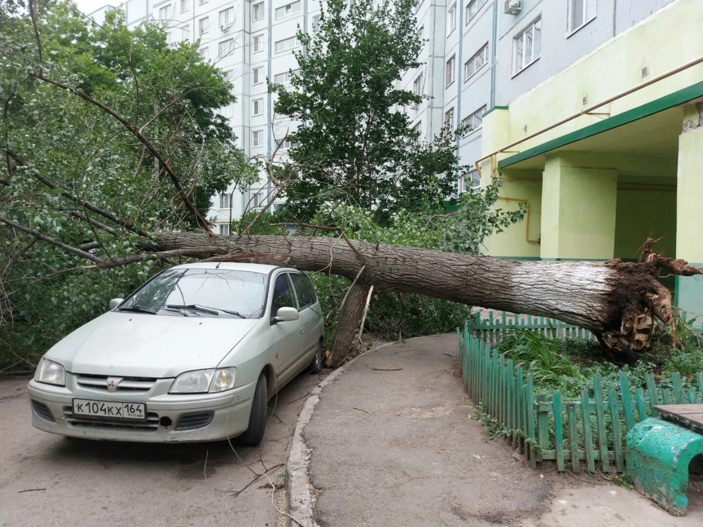 Упавшее дерево. Дерево упало на автомобиль. В Саратове упало дерево. Сильный ветер. Ветер упало дерево