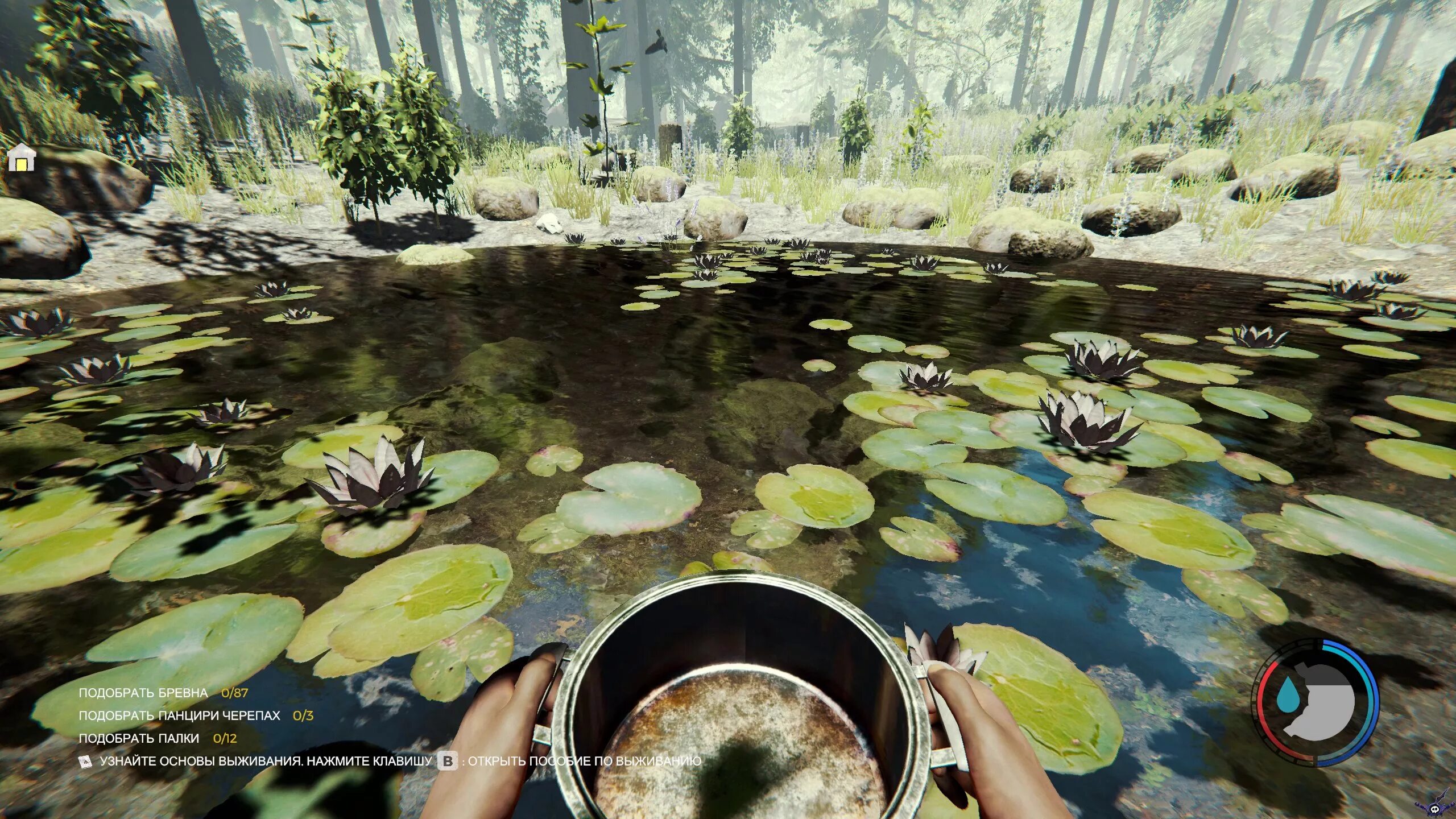Sons of the forest панцирь черепахи. Sons of the forest панцирь черепахи