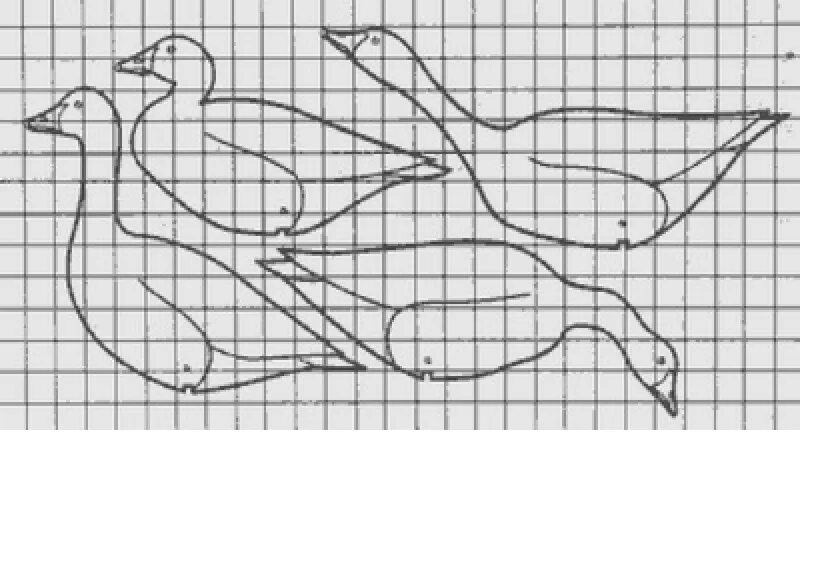 Чертеж утки. Чертеж утки. Сопряжение фигур. Утка трафарет. Утка кряква чертеж для чучела.