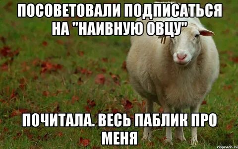 Ах какой смешной и наивный