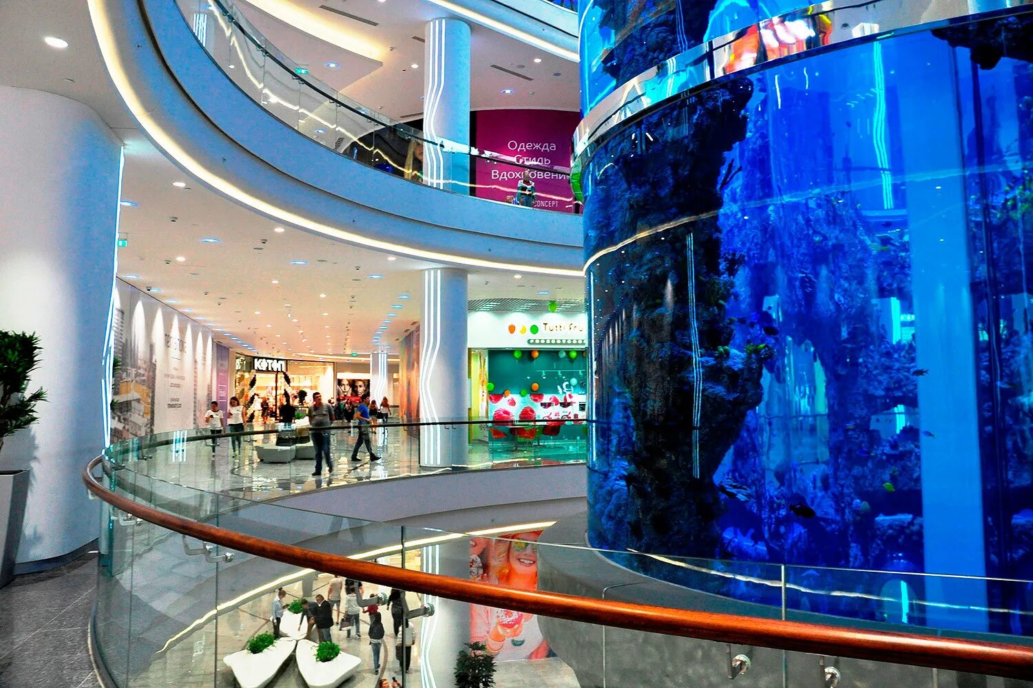 тц океанариум на славянском бульваре. океания тц славянский бульвар. океания какое метро. океания какое метро. океания тц славянский бульвар магазины.