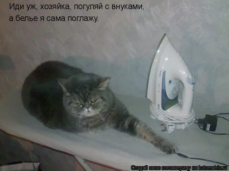 прикольные картинки про петю. весна ты где. ты обезьяна. сама подстриглась ленивец. ничего неохота.