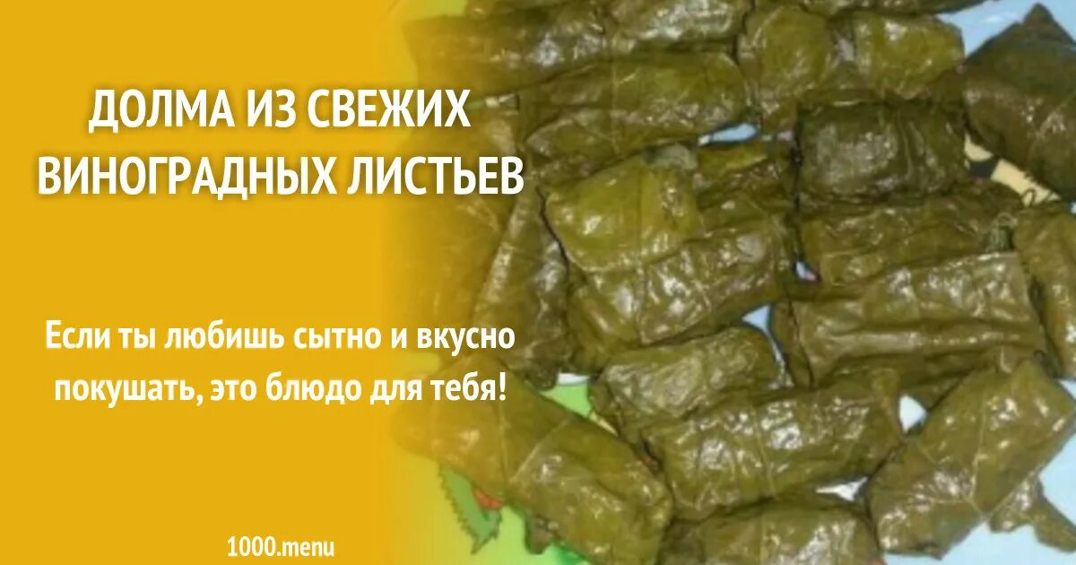 Долма из свежих листьев винограда. Долма в виноградных листьях. долма из сухих виноградных листьев.