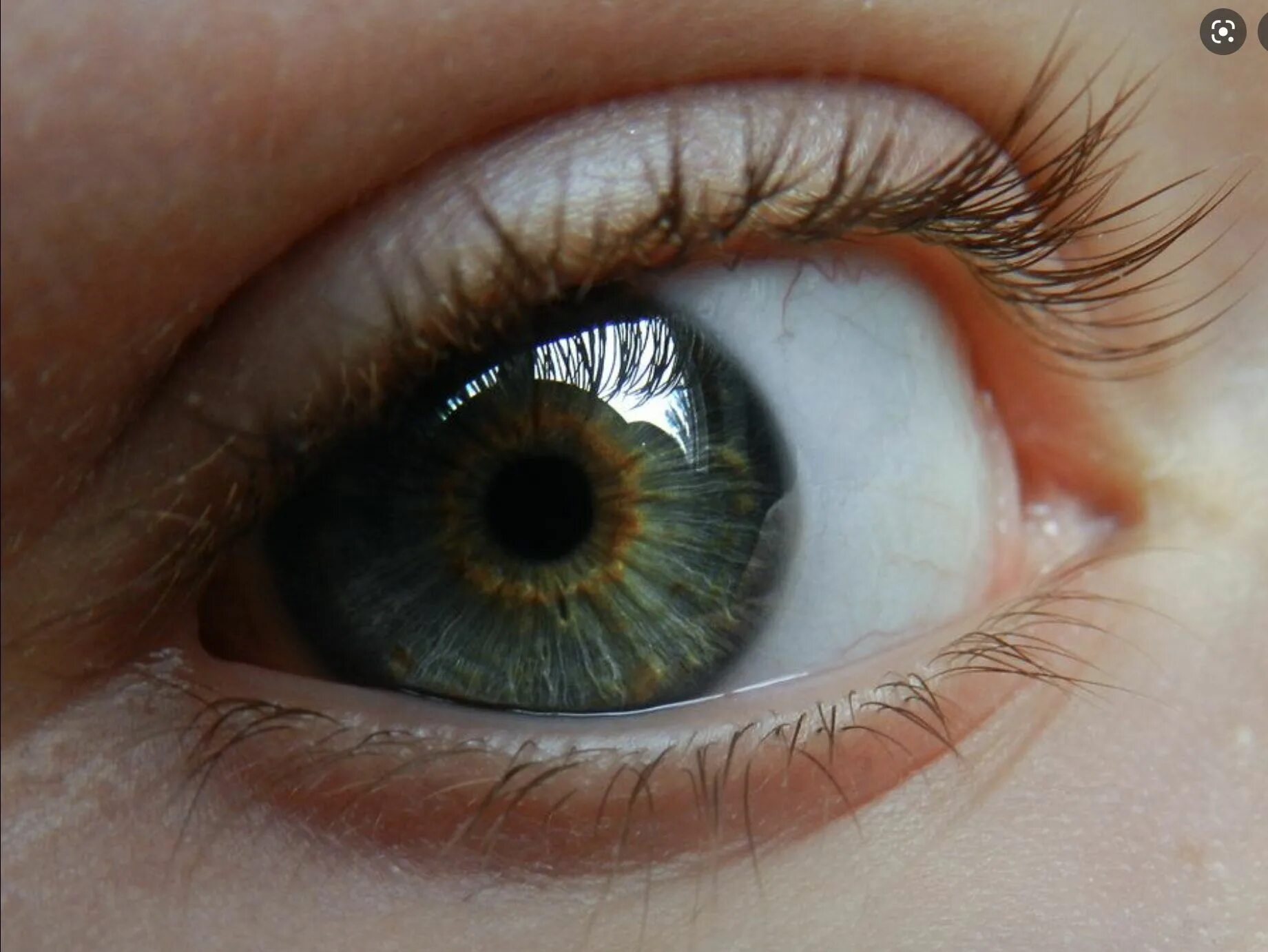 Серо зеленые глаза. Голубо зелено карие глаза. Серо зелено голубые глаза. Каре-зеленые глаза.