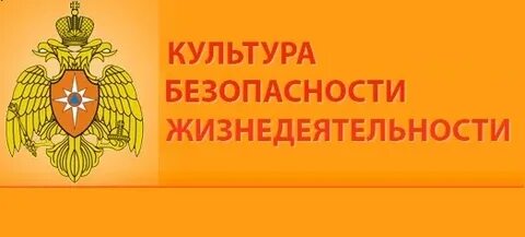 Безопасность культурной деятельности