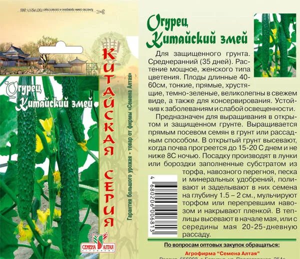 Огурцы китайские змеи отзывы. Огурцы китайский сорт китайский змей. Семена огурцов китайский змей. Огурец китайский змей описание. Огурец китайский змей Сембат.