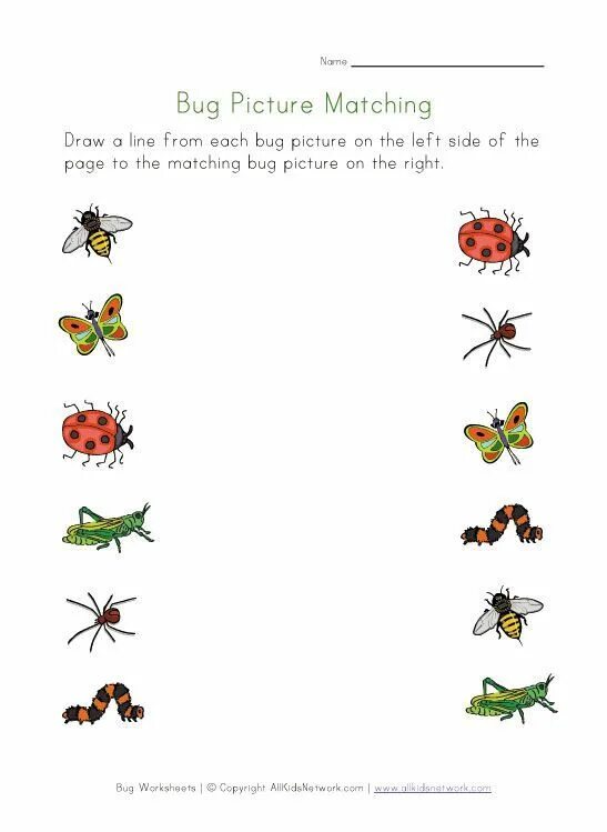 Насекомые задания для дошкольников. Worksheet насекомые. Тема насекомые английский. Задания дошкольникамyfctrjvst.