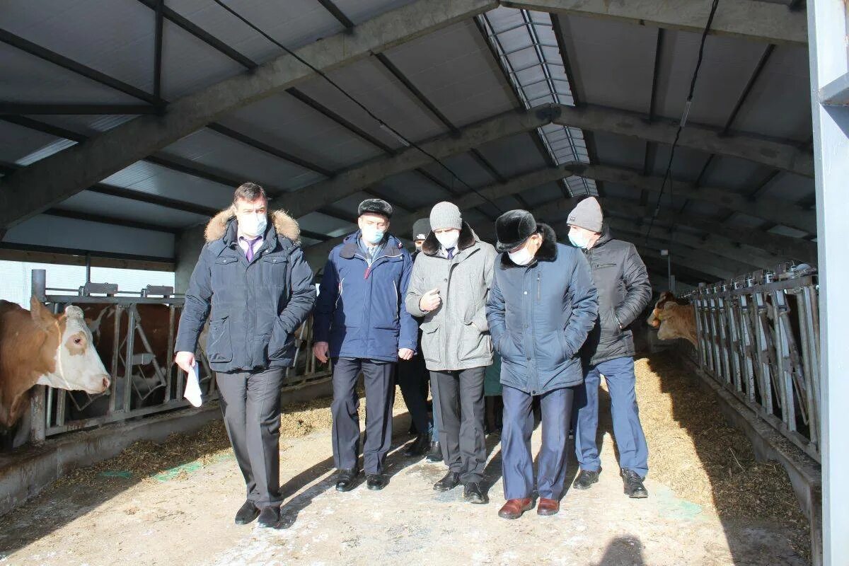 Орловская область ливенский район село сосновка. Вахново Ливенский район. Село Росстани Ливенского района Орловской области. ООО Екатериновка Ливенский район. Ливенский район Орловская область ООО Екатериновка.