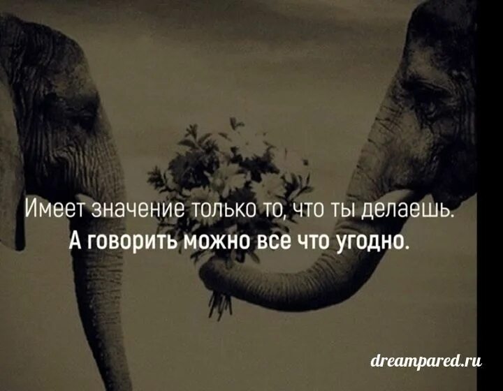 Качество имеет значение. Говорить можно все что угодно. имеет значение только то что ты делаешь. имеет значение только то что ты делаешь а говорить можно. ты можешь говорить все что угодно.