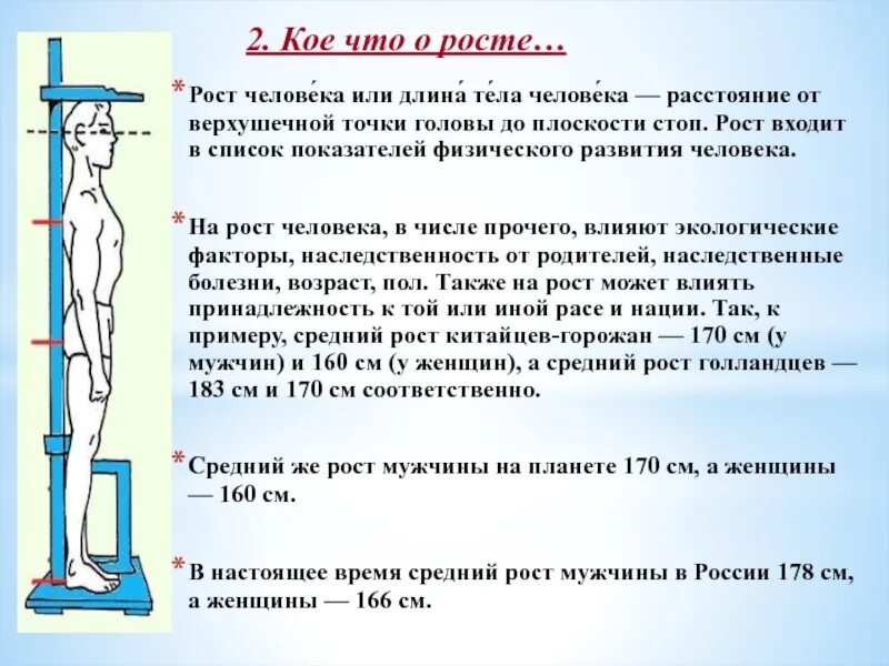 Рост человека. Длина тела человека. Средний рост человека. Общепринятая рубрикация длины тела человека.