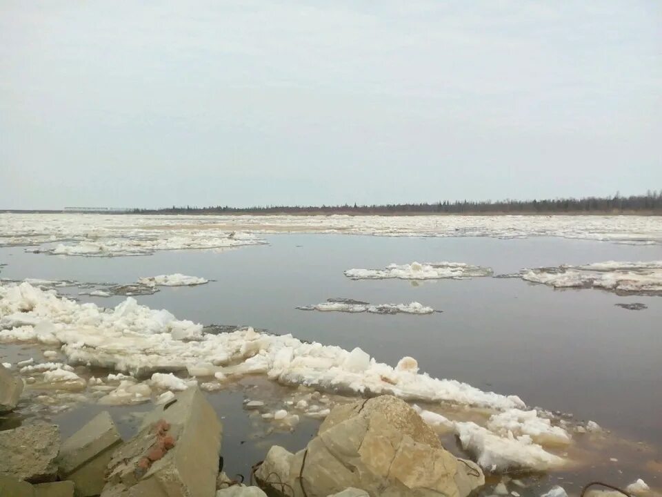 Лёд тронулся Господа. Лед тронулся фото. Не дождались ледохода. Весной лед на реке тронулся девушка с верхом на лошади. Форум лед тронулся