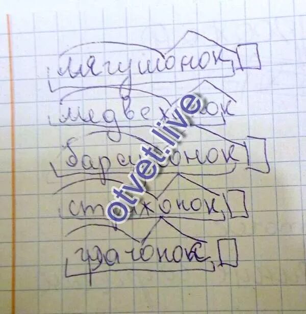 Получивший разбор. Получивший разбор