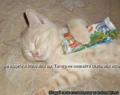 Спала никому не мешала