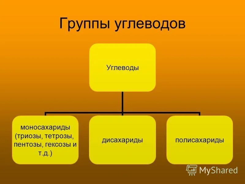 На какие группы делятся углеводы примеры Углеводы делятся на
