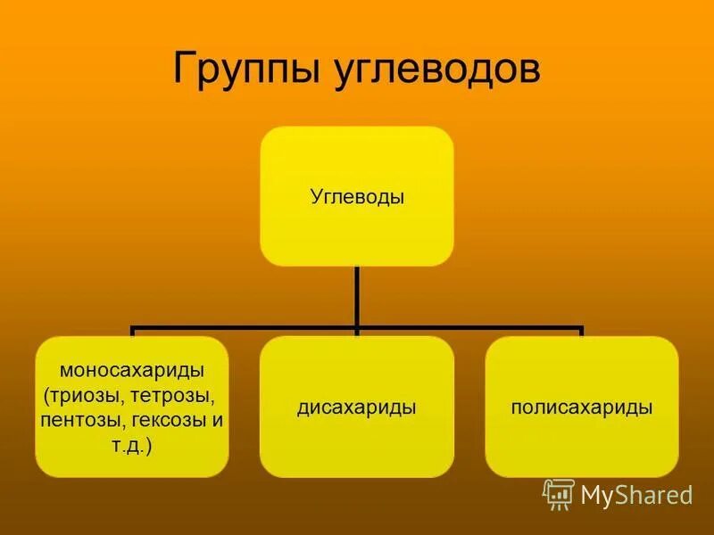 Класс функц. Группы углеводов. Три группы углеводов. Перечислите группы углеводов. Углеводы делятся на 3 группы.