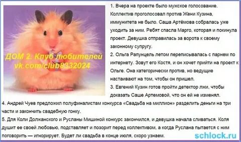 Покидаю проект
