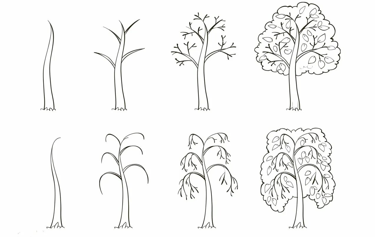 Графика первые уроки. Поэтапное рисование дерева. Этапы рисования дерева для детей. Поэтапное рисование дерева для детей. Рисование деревья и кустарники.