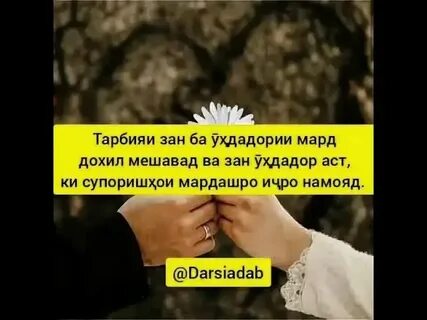 Поставь зан зан зан