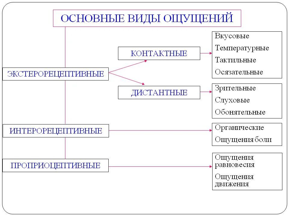 Ощущением не является. Классификация слуховых ощущений. Перечислите виды ощущений. Виды ощущений ЗР тельные. К видам ощущений относятся.