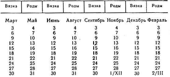 Через сколько приходит в охоту