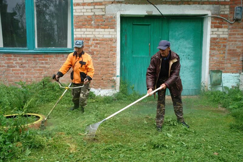 Общественные работы что делают. Общественные работы. Общественные работы картинки. Общественные работы для безработных. Оплачиваемые общественные работы.