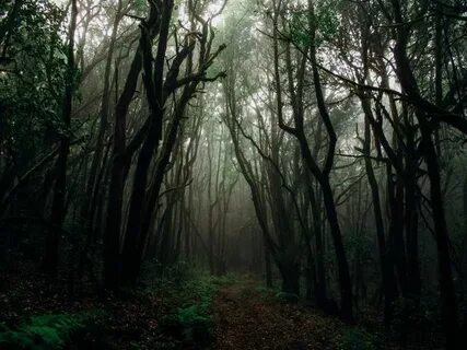 Musichub deep dark jungle extended mix