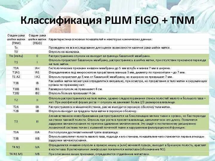 Классификация РШМ по стадиям Figo. Стадия TNM онкология что это. Классификация РШМ по стадиям (Figo, 2019). Опухоли шейки матки классификация.