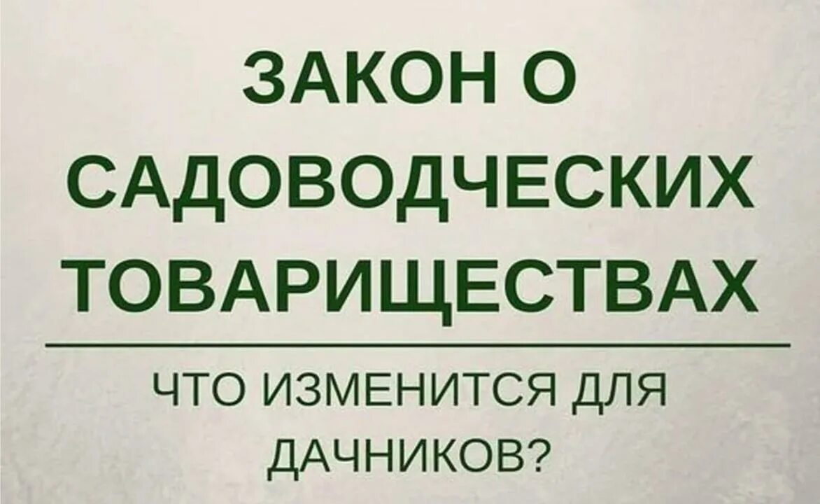 Снт изменения в 2025 году