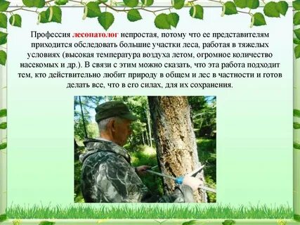 Лесопатолог это