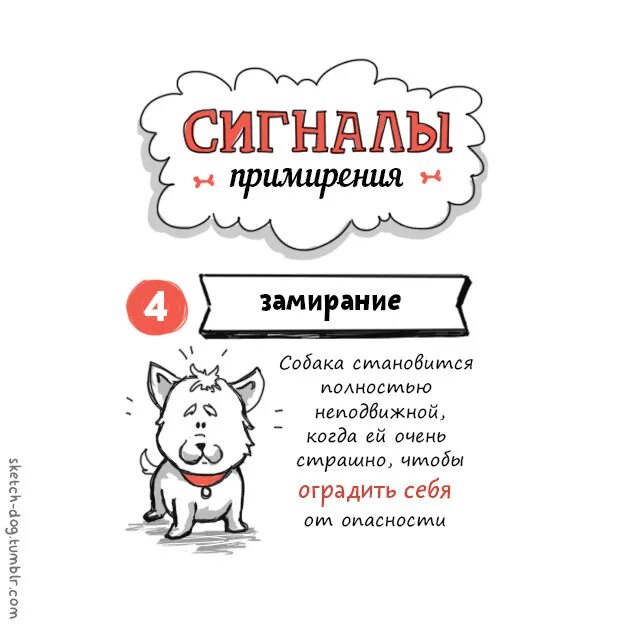 Как примирить собак. Сигналы примирения у собак. знаки примирения у собак. сигналы примирения у собак в картинках. сигналы примирения у собак книга.