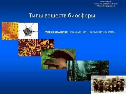 Что понимают под средообразующей ролью живых организмов