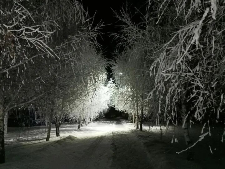 Камское Устье Южная Околица. Ночью был сильный мороз