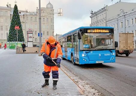 Служба городского транспорта
