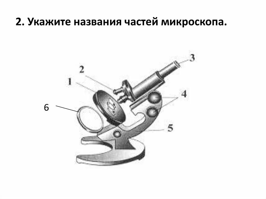 Части микроскопа. Микроскоп и его части названия. Основные части микроскопа. Определите названия частей микроскопа:. Каждая часть микроскопа