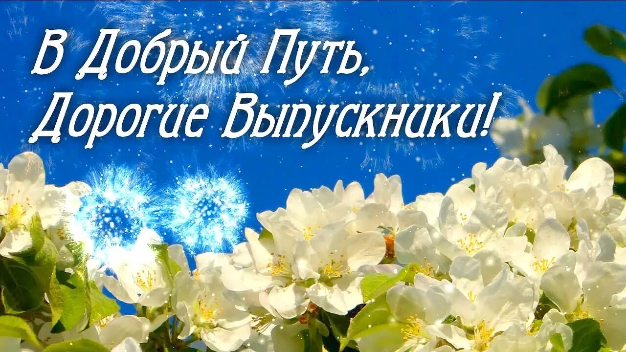 В добрый путь выпускники. С праздником выпускники. Выпускной праздник. В добры йпути выпускники.