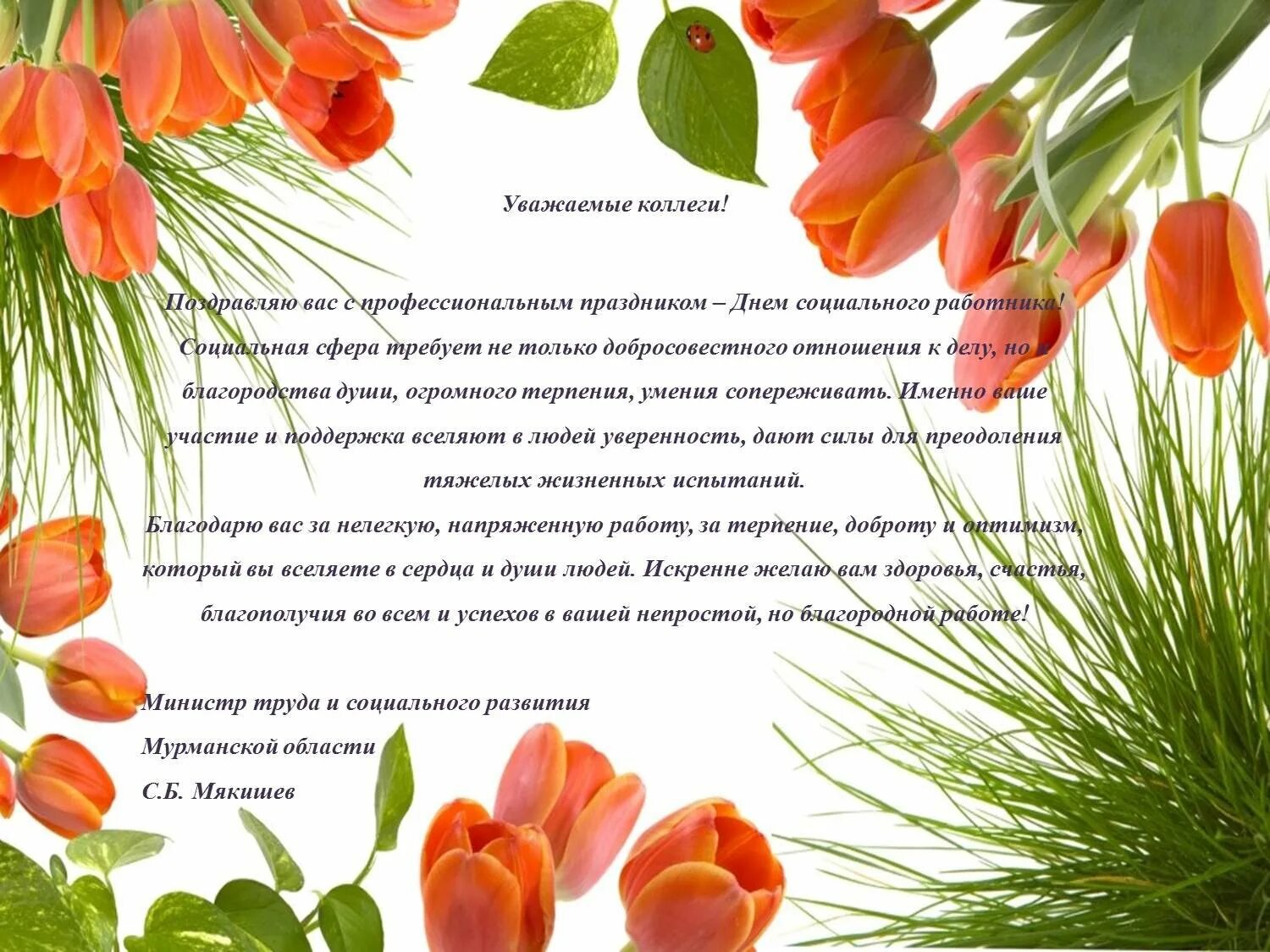 Поздравление с днем социального работника. С днём социального работника поздравления. с днём социального работника поздравления открытки. поздравление с профессиональным праздником коллегам. поздравление социальному работнику.