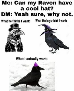 Raven meme