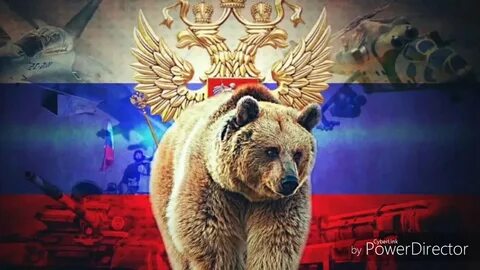 Российский медведь картинки