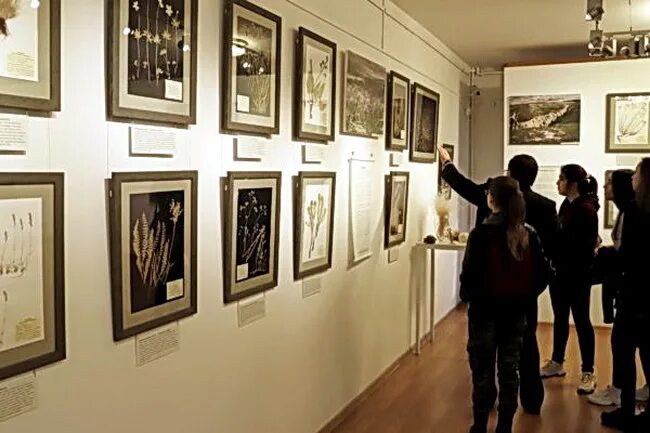 картины воронежских художников в музее крамского. художественная выставка крамского воронеж. зайченко музей крамского. музей люцифера в ватикане мумия. музей имени крамского воронеж.