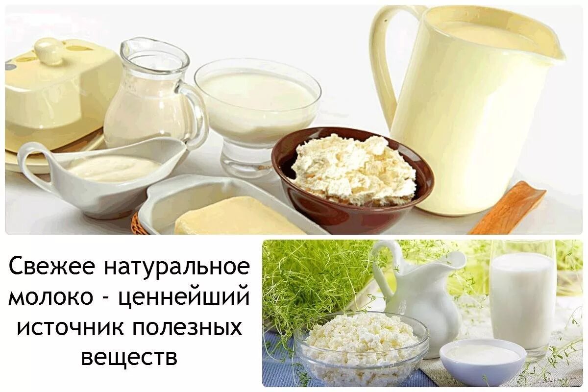 Куда можно использовать молоко