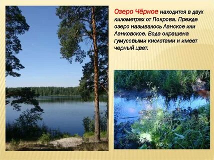 Почему черное озеро называется черным