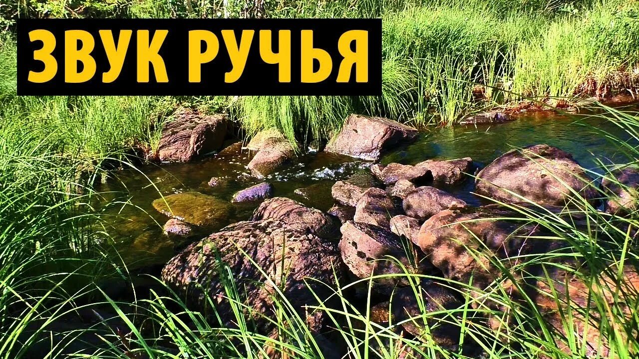 У ручья песня слушать