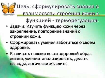 Строение и функции кожи терморегуляция 8 класс
