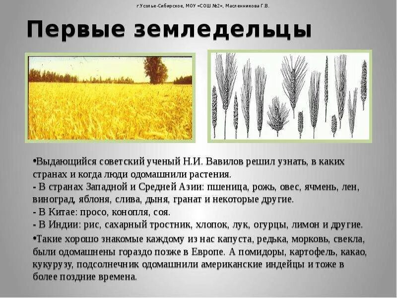 Земледелец получает 800 г бурого риса 22