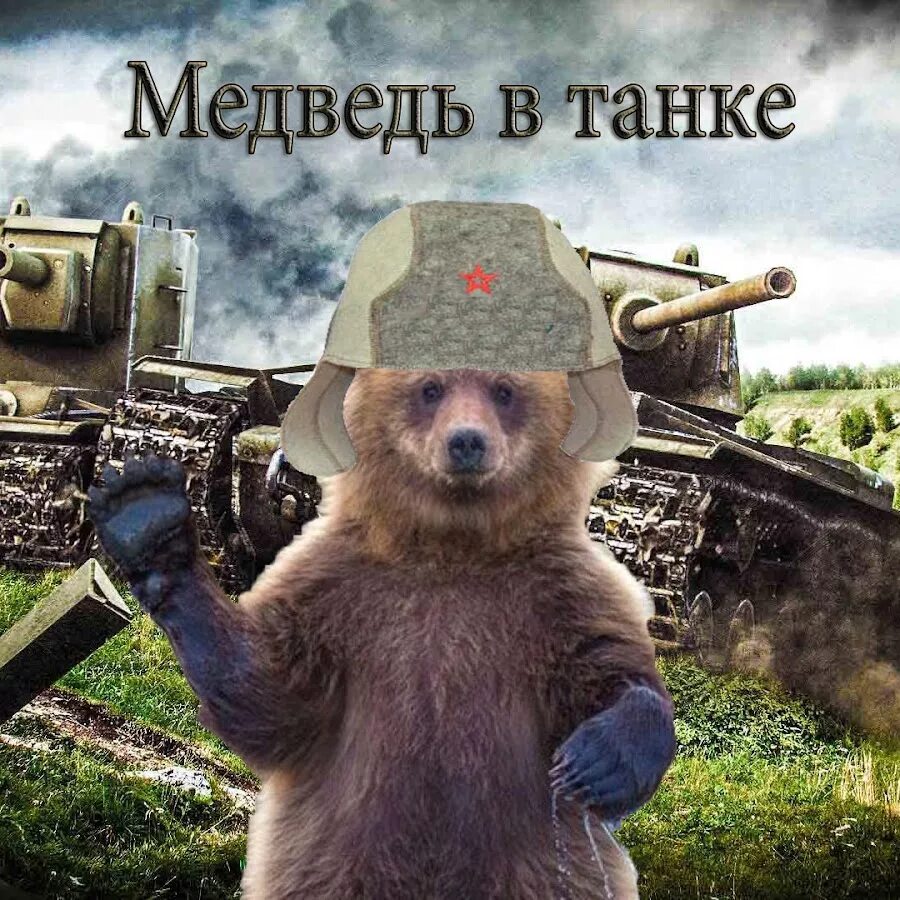Объект 705а world of tanks. Мир танков с медведем. Утро в сосновом бору танк. Картинки на рабочий стол танки. Медведь мир танков.