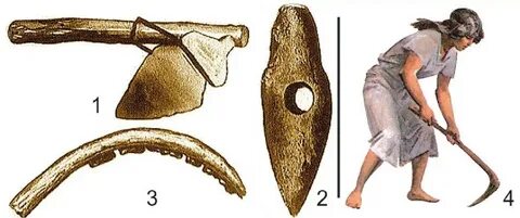 Ресейдегі студенттік порно кештер: фотосуреттер