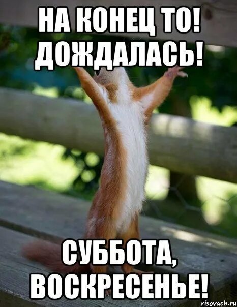Ура суббота. Наконец-то!. Дождаться радостный. Дождаться радостный. Стикер урааа.