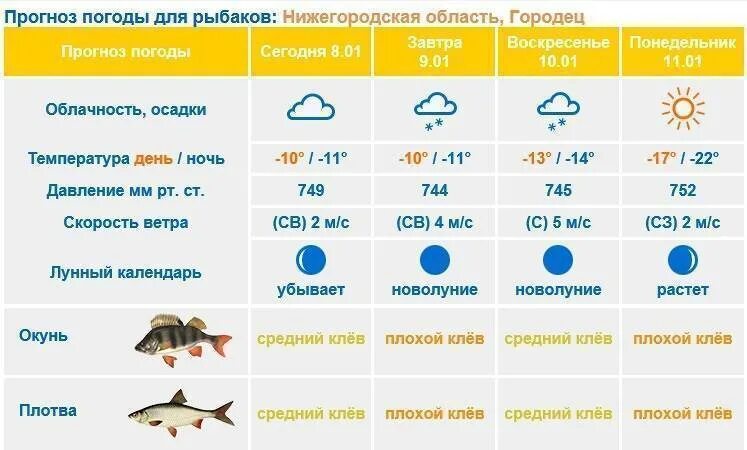 Прогноз клева. Прогноз рыбалки. Прогноз погоды для рыбалка на завтра. Прогноз клева на завтра. Клев осташков