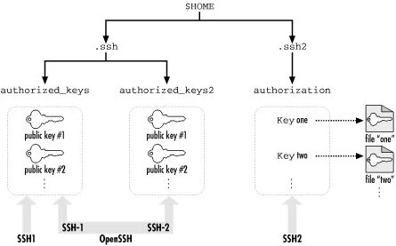 Their offer ssh rsa