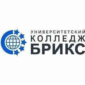 Университетский брикс
